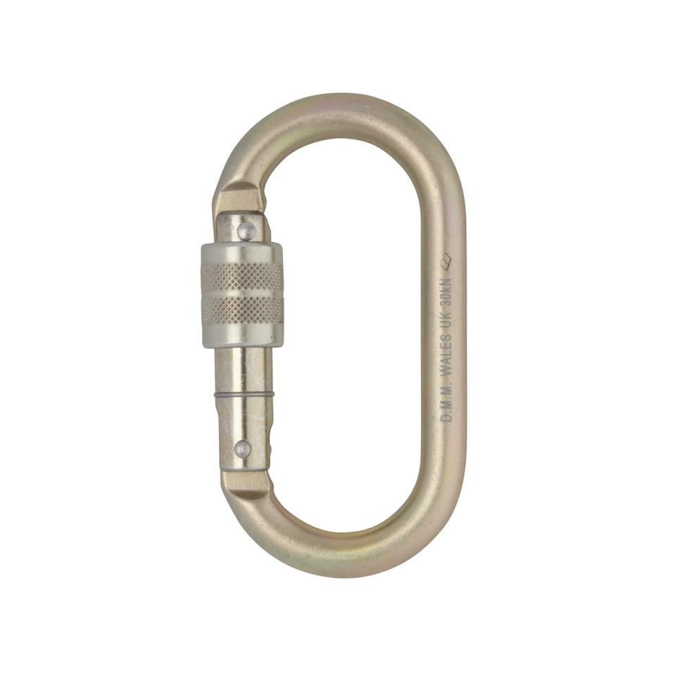 Locking carabiner DMM Professional steel / oval
