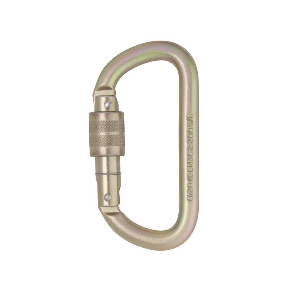 Locking Carabiner - Equal D - DMM Professional - Steel / Oval