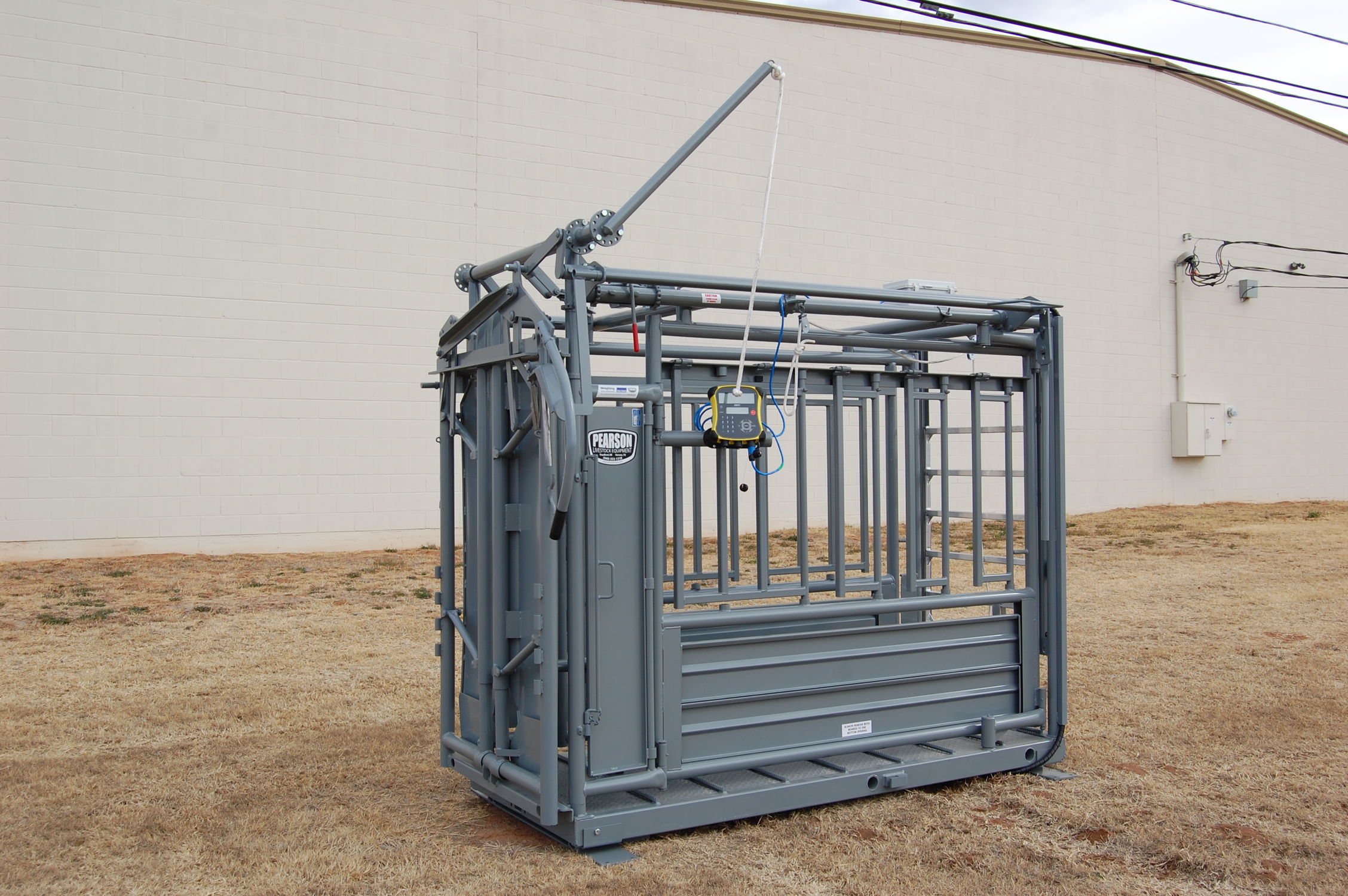 Cow weighing system Pearson Livestocke Equipement digital