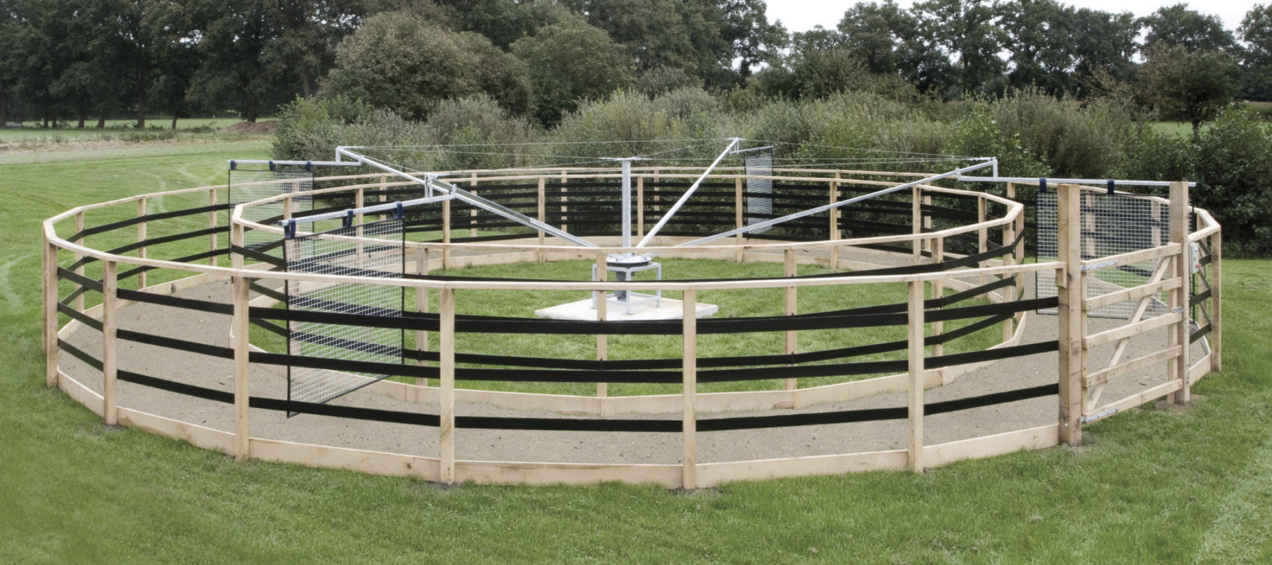 Round horse walker Basic qline