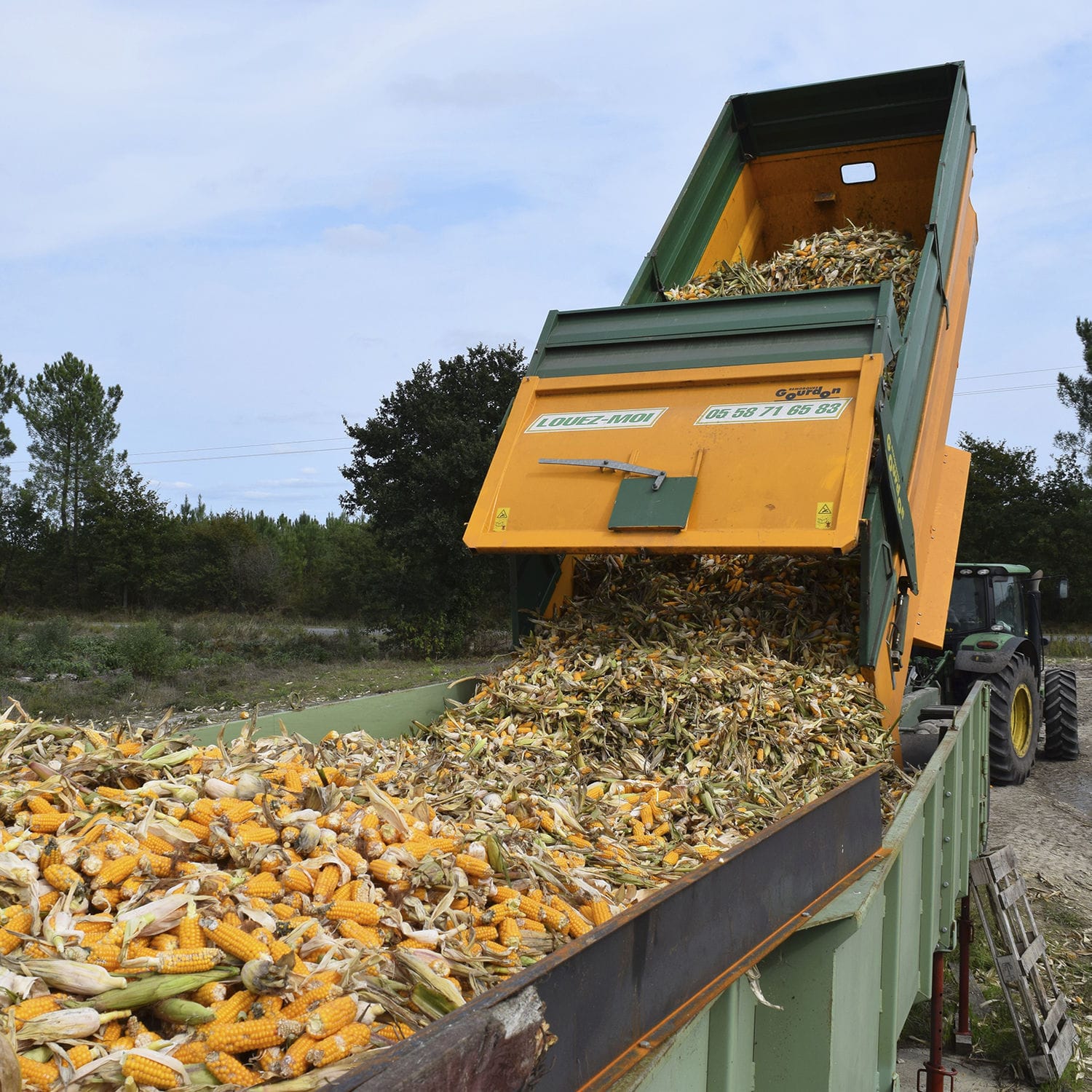 Vegetable receiving hopper TR SAUTEC fruit / unloading / loading