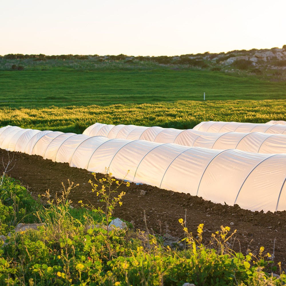 Greenhouse covering film Polypropylene nonwoven greenhouse film Innovative Nonwoven