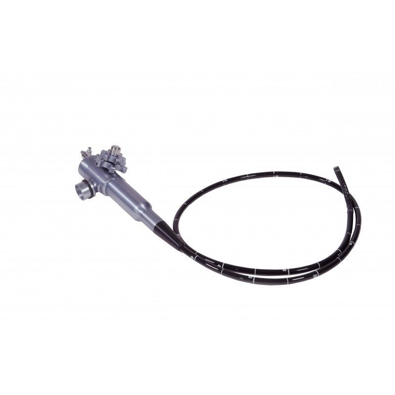 Flexible veterinary endoscope - VO 7.8 - optomed - for small animals ...