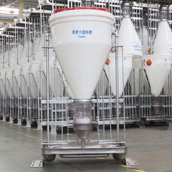Pig Feeder Stainless Steel Multi Access Automatic Hengyin