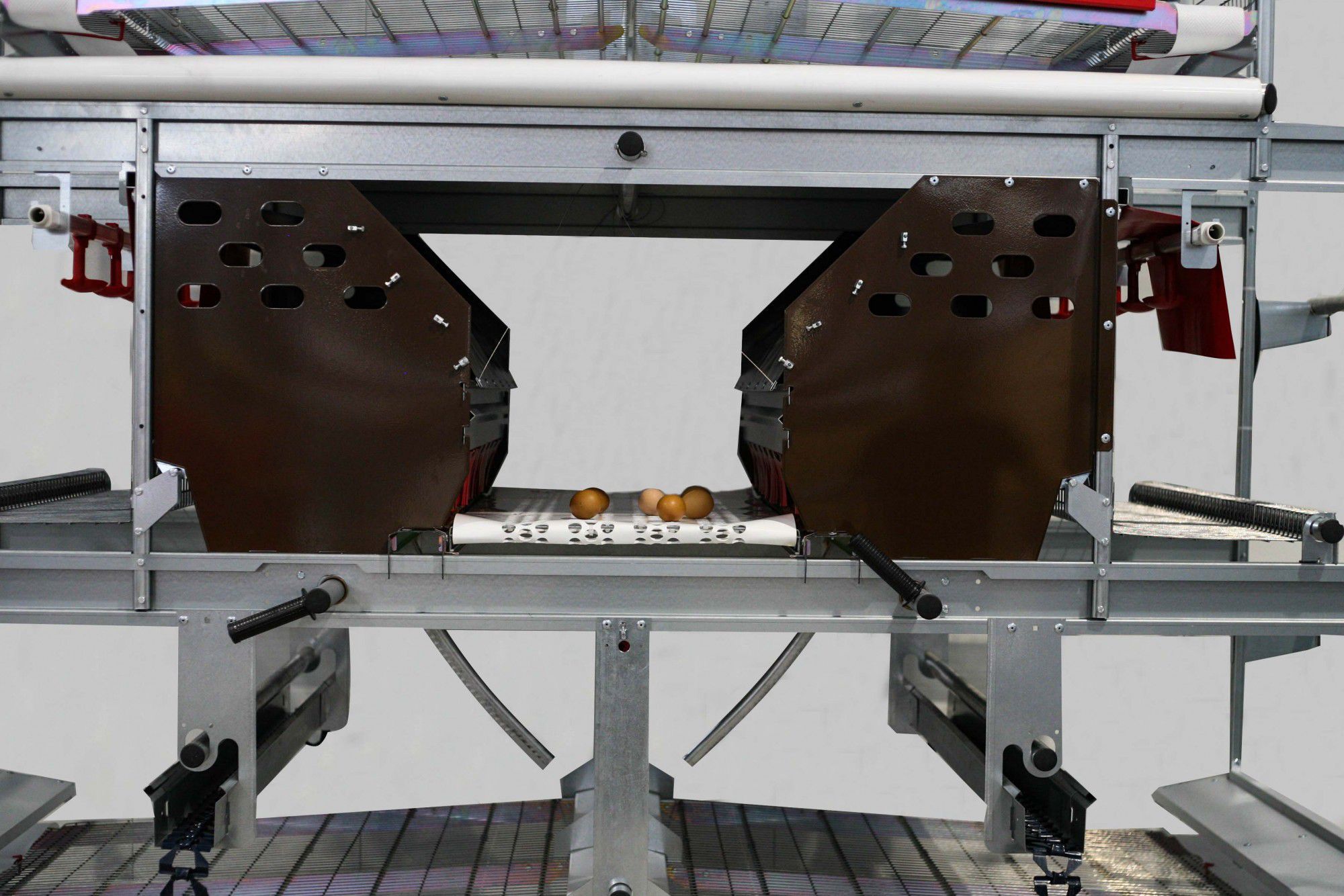 Layer aviary system LIBERA CASA FACCO with egg belts