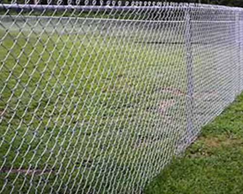 Chain-link wire fence - Vijay Raj - for poultry