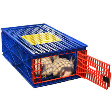 Bird store transport cage