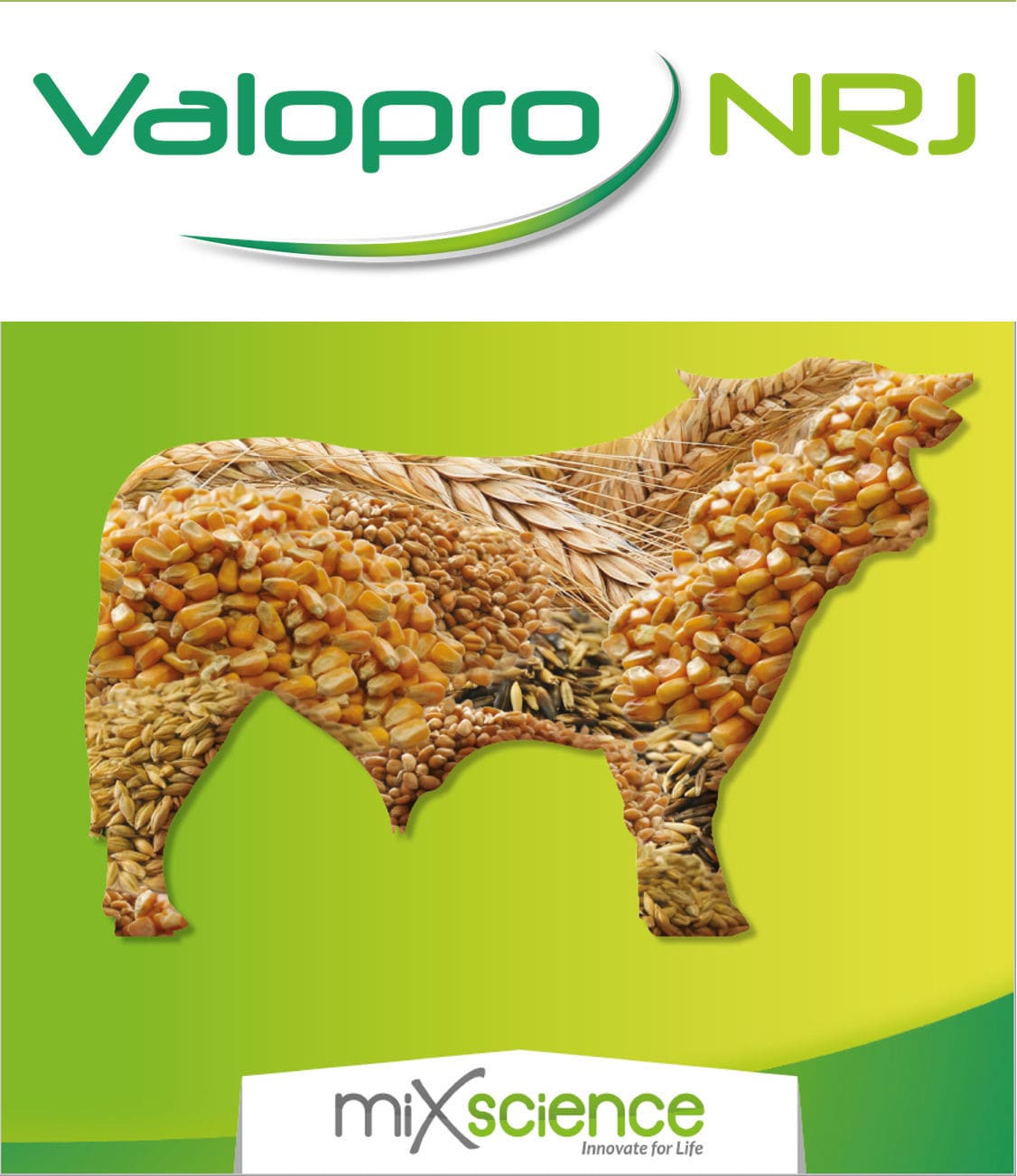 Cattle feed additive Valopro NRJ MiXscience dry