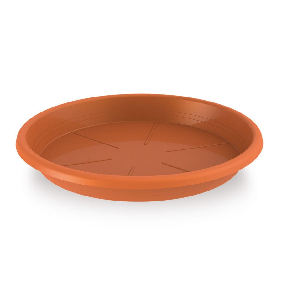 Plastic carry tray PD Alber round / recyclable