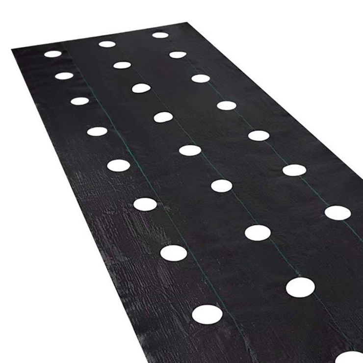 soil-cover-film-hf-better-technology-co-weed-control-plastic-black