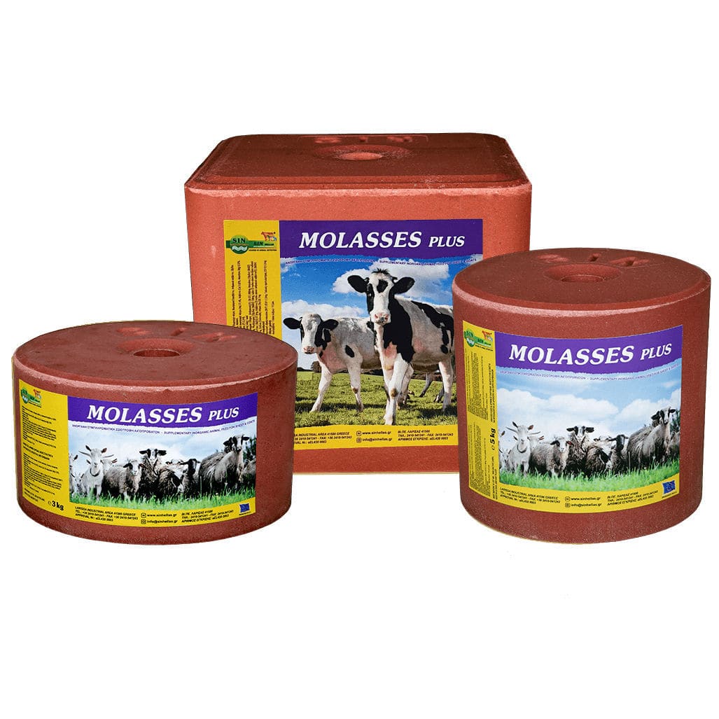 Cattle salt lick MOLASSES PLUS S.I.N. HELLAS for sheep / goat