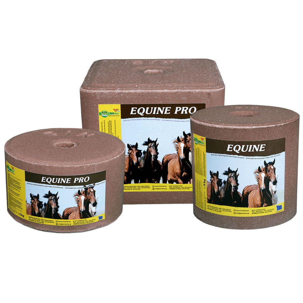 Horse salt lick EQUINE PRO S.I.N. HELLAS with trace elements