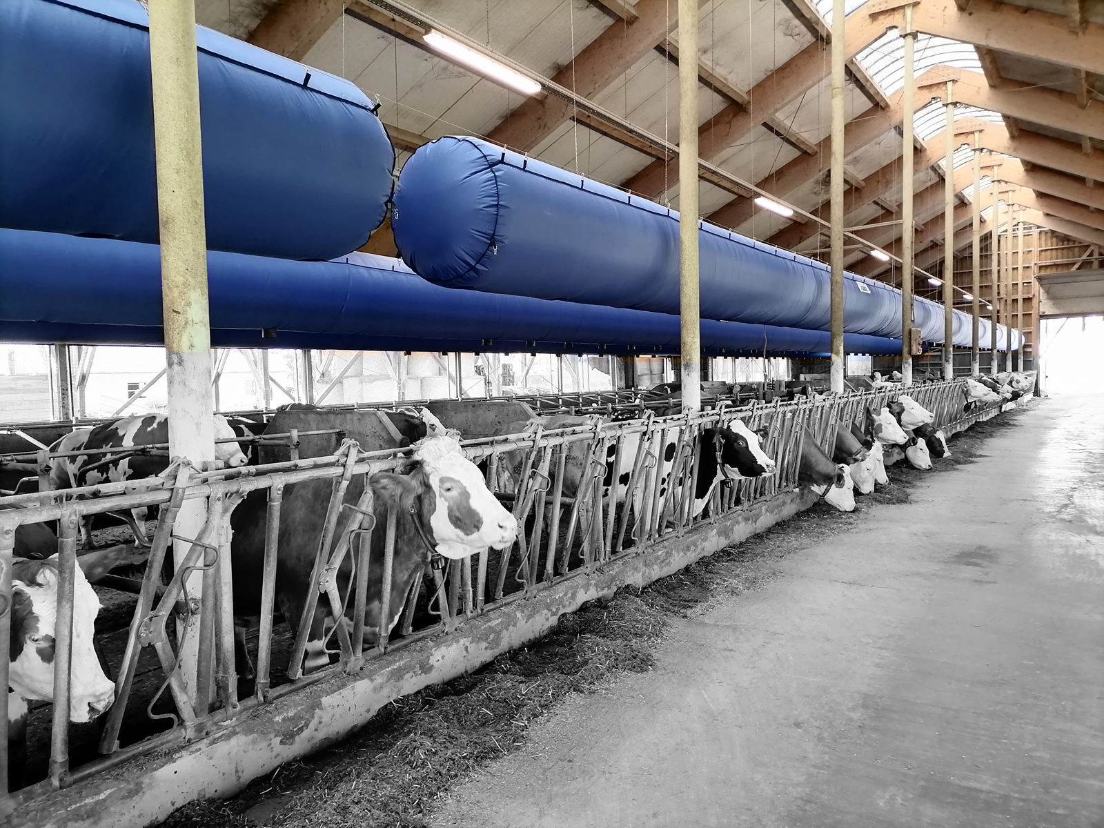 Farm building ventilation system - TUBE-VENT - Marko Hohler s.p. - cooling