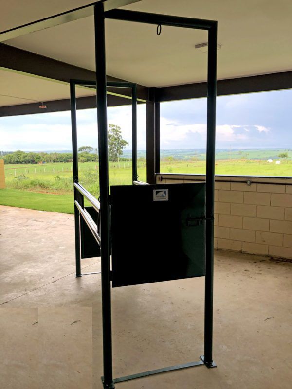 Horse squeeze chute EQUIBOARD veterinary