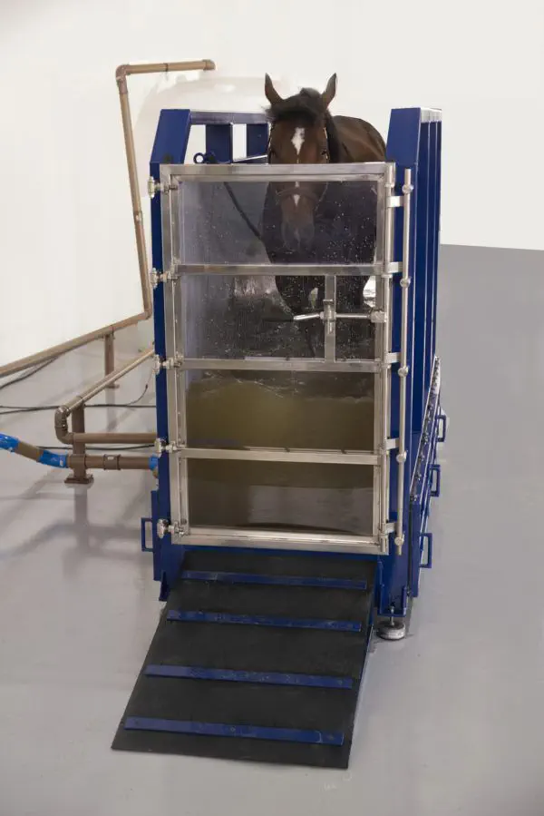 Used equine aqua treadmill for online sale