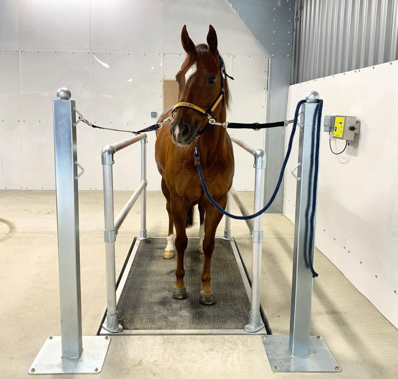 Pulsed field therapy scale Combi Floor FMBs Therapy