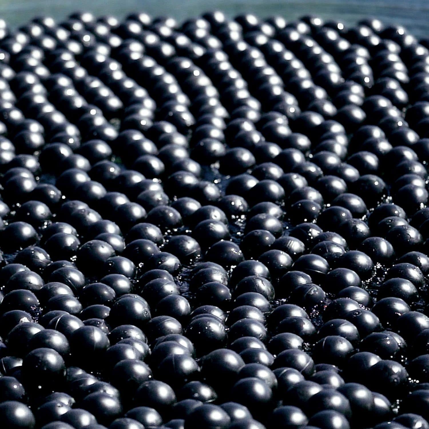 Lagoon shade ball Waterfilled Bird Ball™ EuroMatic plastic