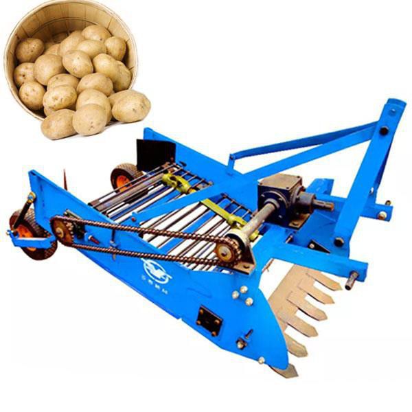 Potato harvester machine - 4U-600A - Zhengzhou Runxiang Machinery Equipment  Co., Ltd. - tractor-mounted / 2-row