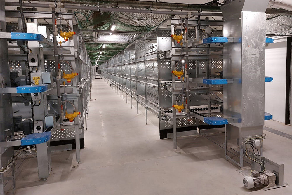 Multitier rearing cage Compact POTTERS POULTRY LTD with manure