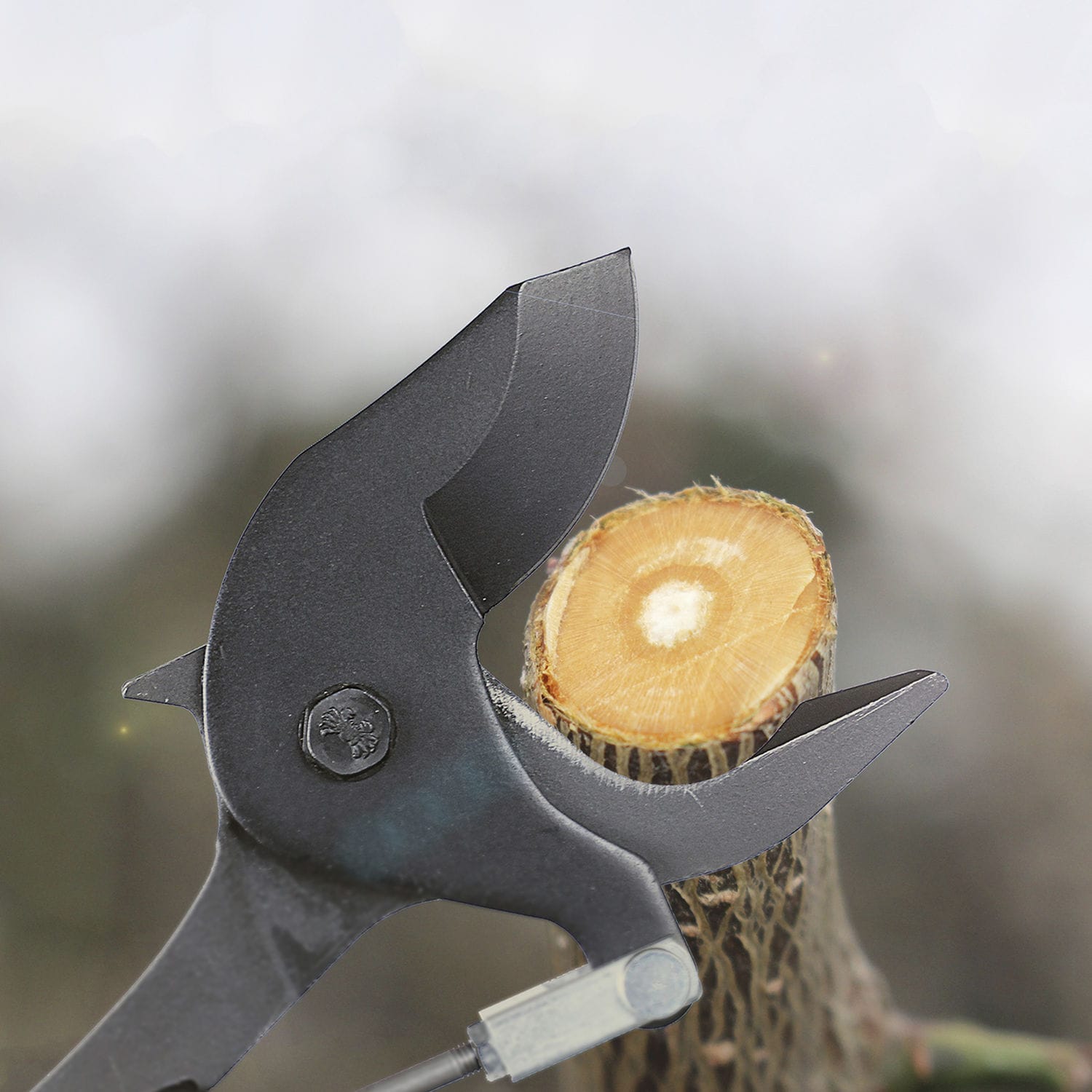Orchard pruning shears - FUTOMARU - NISHIGAKI INDUSTRIAL CO., LTD