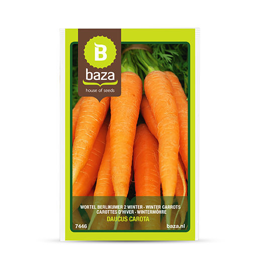 Early carrot seed - 7446 - BAZA Seeds Holland b.v. - winter