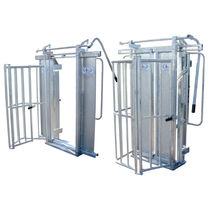 Cattle head gate - All the agricultural manufacturers - Videos