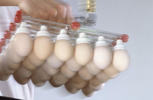 automatic egg vacuum lifter