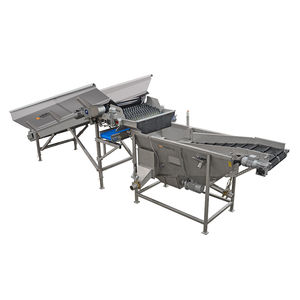 Feed Conveyor - B 100-300 - Allround Vegetable Processing B.V. - Belt