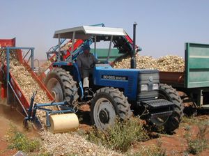 leek harvester / garlic / trailed