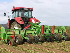 potatoes haulm topper