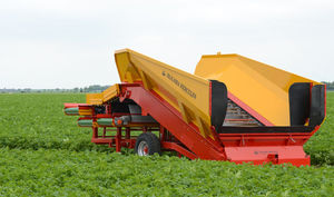 potato receiving hopper