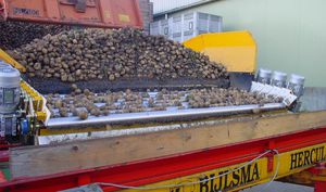 potato crop cleaning machine