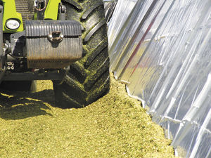 silage film