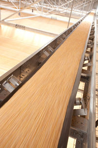 grain conveyor