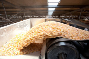 grain conveyor