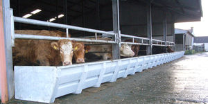 cattle trough