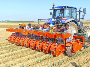 leek transplanter