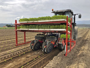 vegetable transplanter
