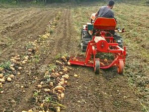 potato harvester
