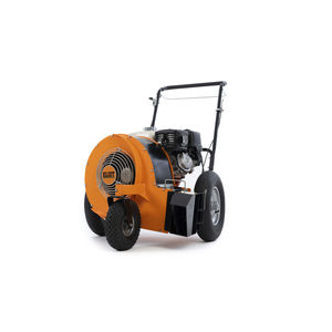 walk-behind leaf blower