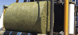 plastic netting