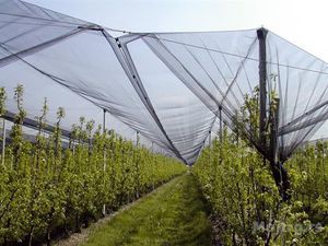 protective netting