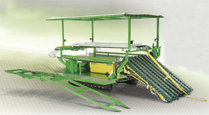 celery harvester machine