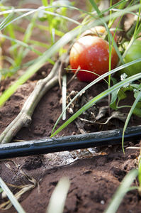 soil drip irrigation system