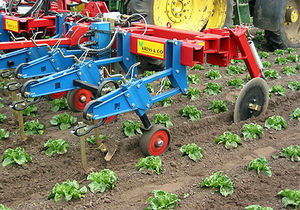 mounted row hoe
