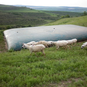 water tank