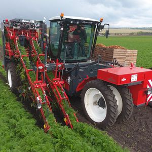 carrot harvester machine