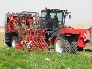 carrot harvester machine