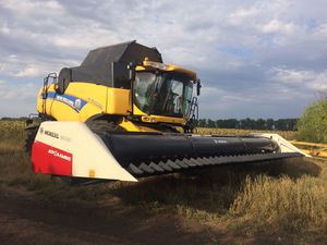 sunflower harvesting header / flex / rigid / with hydraulic adjustment