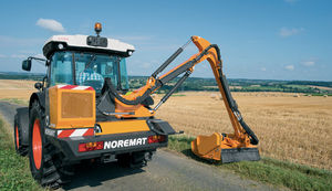 rear-mount reach mower / flail